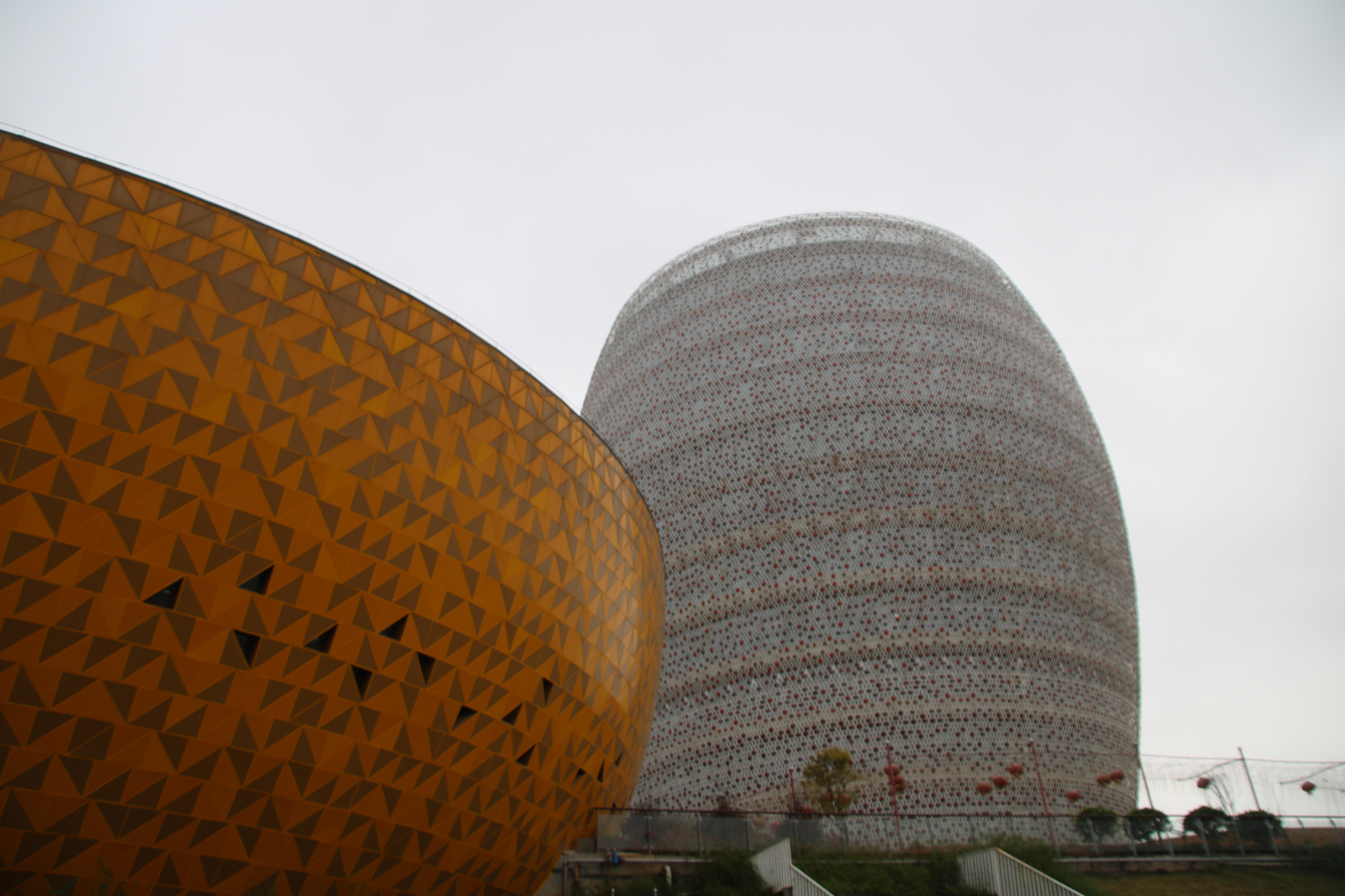 fd0538dd4d8a45f9b4ae3ecda324cdf4.jpg IMG_6051.JPG